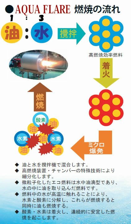 �G�R�{�C���[