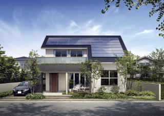 ���z�����d